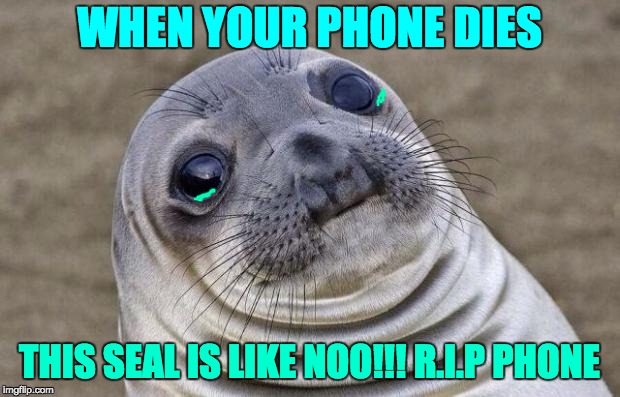 Awkward Moment Sealion | WHEN YOUR PHONE DIES; THIS SEAL IS LIKE NOO!!! R.I.P PHONE | image tagged in memes,awkward moment sealion | made w/ Imgflip meme maker