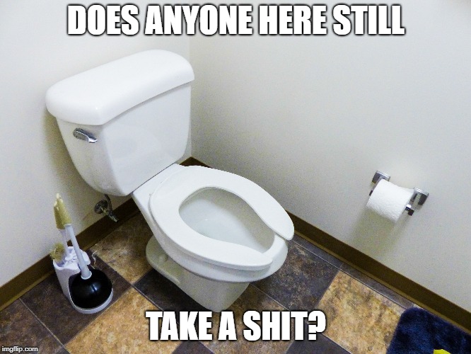 Does anyone here still take a shit? | DOES ANYONE HERE STILL; TAKE A SHIT? | image tagged in toilet,shit,stupid people | made w/ Imgflip meme maker