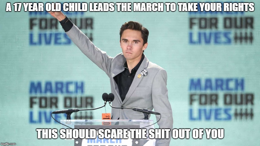 A 17 YEAR OLD CHILD LEADS THE MARCH TO TAKE YOUR RIGHTS; THIS SHOULD SCARE THE SHIT OUT OF YOU | image tagged in davidhogg | made w/ Imgflip meme maker