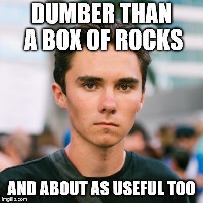 David Hogg | DUMBER THAN A BOX OF ROCKS; AND ABOUT AS USEFUL TOO | image tagged in david hogg | made w/ Imgflip meme maker