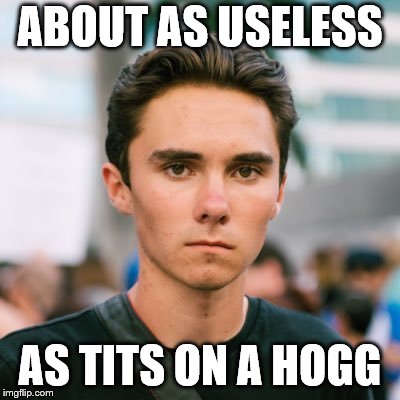 David Hogg | ABOUT AS USELESS; AS TITS ON A HOGG | image tagged in david hogg | made w/ Imgflip meme maker