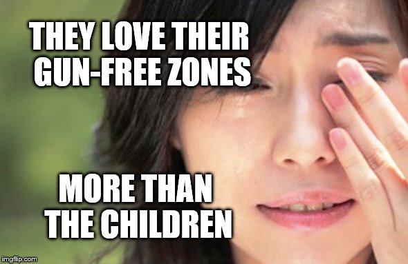 THEY LOVE THEIR GUN-FREE ZONES; MORE THAN THE CHILDREN | image tagged in gun control | made w/ Imgflip meme maker