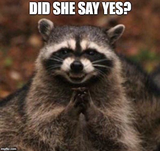 DID SHE SAY YES? | made w/ Imgflip meme maker