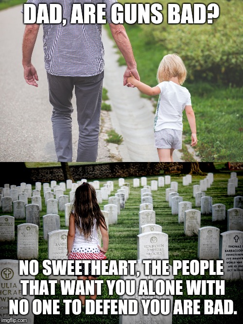 Defenseless or not | DAD, ARE GUNS BAD? NO SWEETHEART, THE PEOPLE THAT WANT YOU ALONE WITH NO ONE TO DEFEND YOU ARE BAD. | image tagged in self defense | made w/ Imgflip meme maker