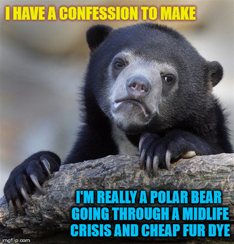 Confession Bear Meme | I HAVE A CONFESSION TO MAKE; I'M REALLY A POLAR BEAR GOING THROUGH A MIDLIFE CRISIS AND CHEAP FUR DYE | image tagged in memes,confession bear | made w/ Imgflip meme maker