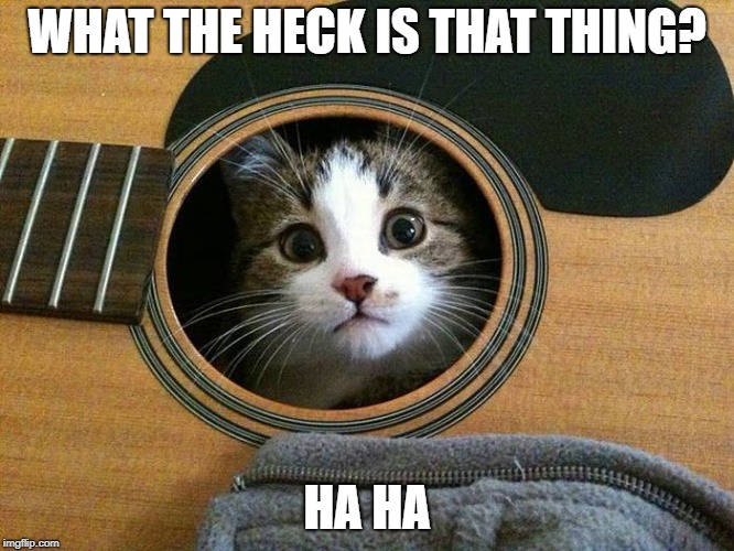 WHAT THE HECK IS THAT THING? HA HA | made w/ Imgflip meme maker