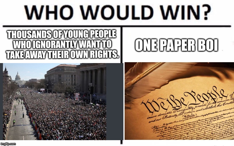 March For Life be like | THOUSANDS OF YOUNG PEOPLE WHO IGNORANTLY WANT TO TAKE AWAY THEIR OWN RIGHTS. ONE PAPER BOI | image tagged in second amendment,protesters | made w/ Imgflip meme maker