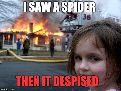 Disaster Girl Meme | I SAW A SPIDER; THEN IT DESPISED | image tagged in memes,disaster girl | made w/ Imgflip meme maker