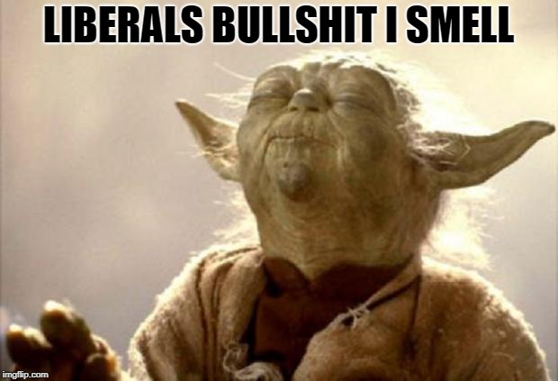 LIBERALS BULLSHIT I SMELL | made w/ Imgflip meme maker