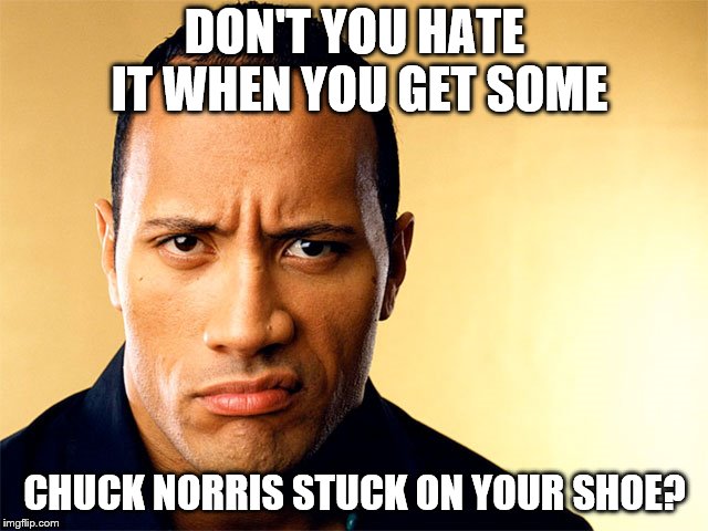 Dwayne Johnson | DON'T YOU HATE IT WHEN YOU GET SOME; CHUCK NORRIS STUCK ON YOUR SHOE? | image tagged in dwayne johnson | made w/ Imgflip meme maker