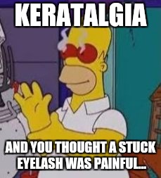 272hg2.jpg
