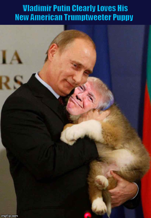 Vladimir Putin Clearly Loves His New American Trumptweeter Puppy | image tagged in donald trump,vladimir putin,dogs,funny,memes,tweet | made w/ Imgflip meme maker