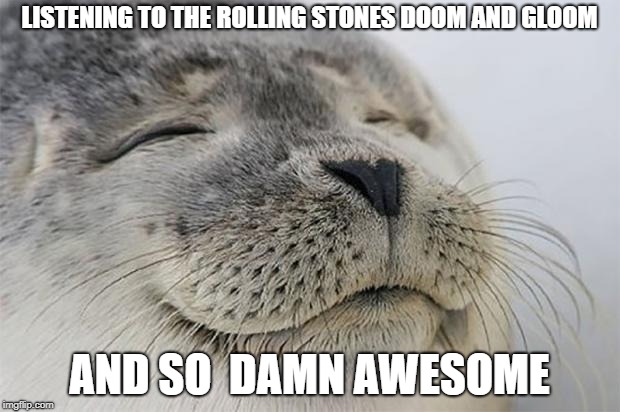 Satisfied Seal | LISTENING TO THE ROLLING STONES DOOM AND GLOOM; AND SO  DAMN AWESOME | image tagged in memes,satisfied seal | made w/ Imgflip meme maker