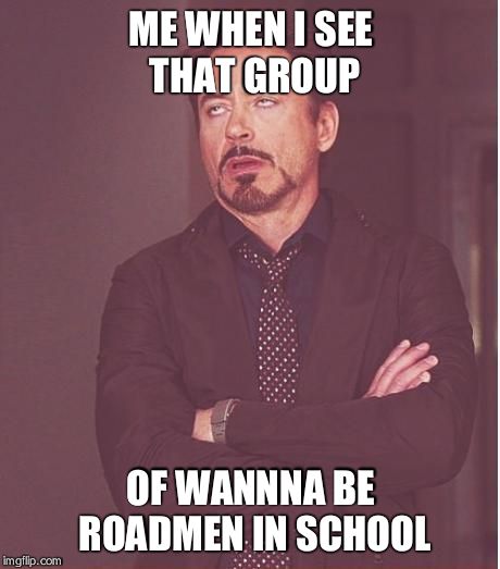 Face You Make Robert Downey Jr Meme | ME WHEN I SEE THAT GROUP; OF WANNNA BE ROADMEN IN SCHOOL | image tagged in memes,face you make robert downey jr | made w/ Imgflip meme maker