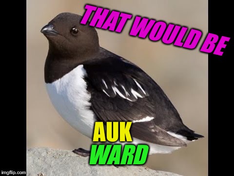 THAT WOULD BE WARD AUK | made w/ Imgflip meme maker