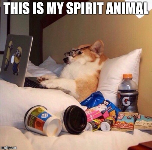 Lazy dog in bed |  THIS IS MY SPIRIT ANIMAL | image tagged in lazy dog in bed | made w/ Imgflip meme maker