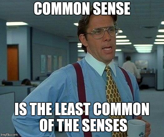 That Would Be Great | COMMON SENSE; IS THE LEAST COMMON OF THE SENSES | image tagged in memes,that would be great | made w/ Imgflip meme maker