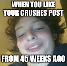 WHEN YOU LIKE YOUR CRUSHES POST; FROM 45 WEEKS AGO | image tagged in when you like a post | made w/ Imgflip meme maker