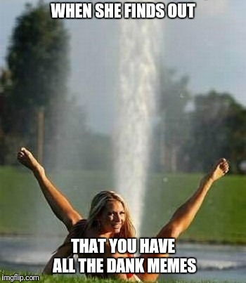 Meme Squirter | WHEN SHE FINDS OUT; THAT YOU HAVE ALL THE DANK MEMES | image tagged in dank memes,true love | made w/ Imgflip meme maker