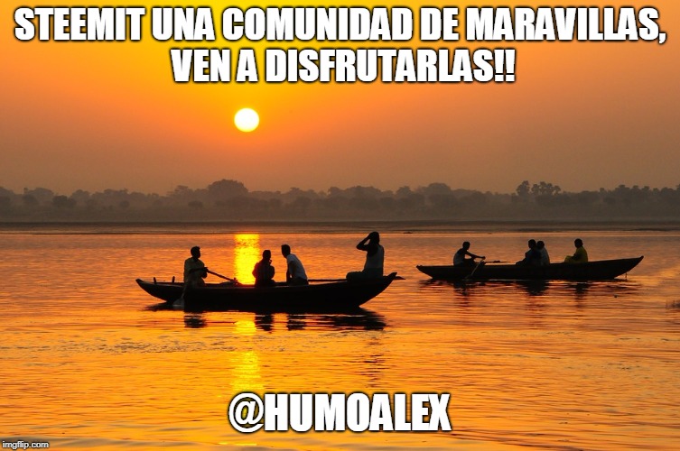 humoalex | STEEMIT UNA COMUNIDAD DE MARAVILLAS, VEN A DISFRUTARLAS!! @HUMOALEX | image tagged in presentacion,humoalex | made w/ Imgflip meme maker