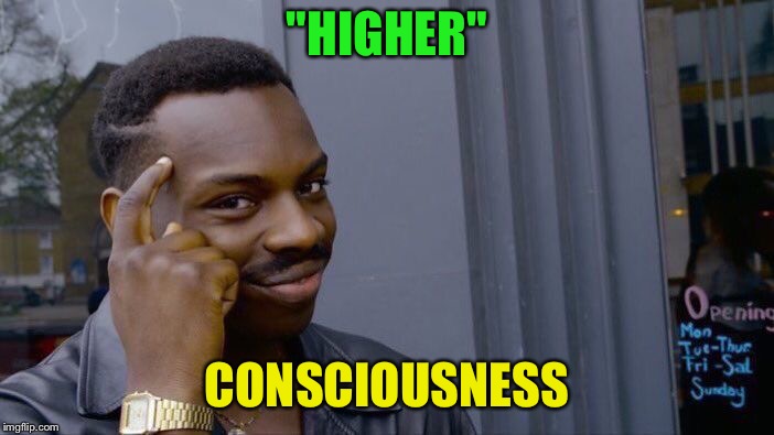 Roll Safe Think About It Meme | "HIGHER" CONSCIOUSNESS | image tagged in memes,roll safe think about it | made w/ Imgflip meme maker