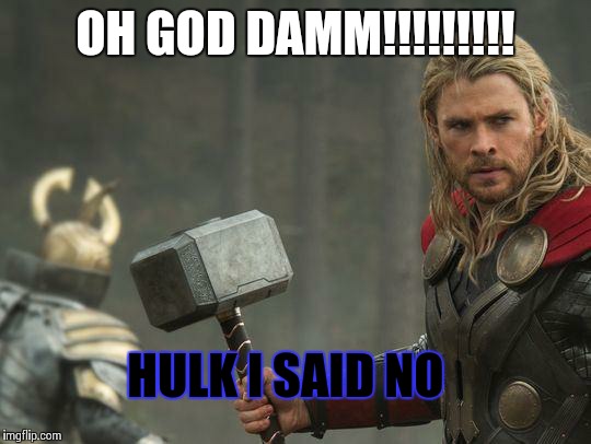 Thor | OH GOD DAMM!!!!!!!!! HULK I SAID NO | image tagged in thor | made w/ Imgflip meme maker