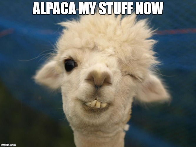 alpaca | ALPACA MY STUFF NOW | image tagged in alpaca | made w/ Imgflip meme maker