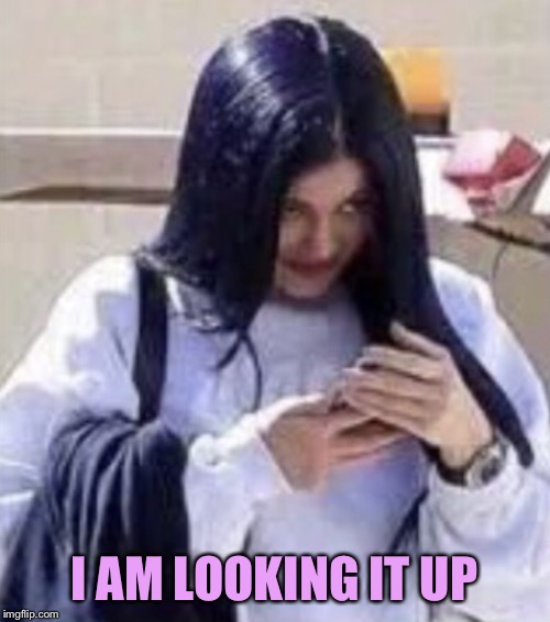 Mima | I AM LOOKING IT UP | image tagged in mima | made w/ Imgflip meme maker
