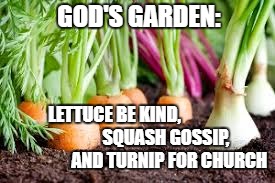 Garden | GOD'S GARDEN:; LETTUCE BE KIND,                              
SQUASH GOSSIP,                    AND TURNIP FOR CHURCH | image tagged in garden | made w/ Imgflip meme maker