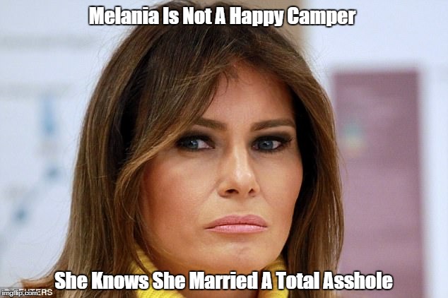 "Melania Is Not A Happy Camper" | Melania Is Not A Happy Camper She Knows She Married A Total Asshole | image tagged in deplorable donald,despicable donald,detestable donald,dishonorable donald,devious donald,dickhead donald | made w/ Imgflip meme maker