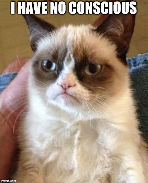 Grumpy Cat Meme | I HAVE NO CONSCIOUS | image tagged in memes,grumpy cat | made w/ Imgflip meme maker