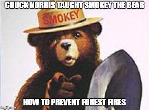 Chuck Norris forest fires | CHUCK NORRIS TAUGHT SMOKEY THE BEAR; HOW TO PREVENT FOREST FIRES | image tagged in chuck norris,smokey the bear,memes,funny | made w/ Imgflip meme maker