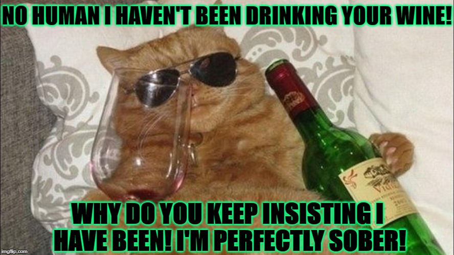 NO HUMAN I HAVEN'T BEEN DRINKING YOUR WINE! WHY DO YOU KEEP INSISTING I HAVE BEEN! I'M PERFECTLY SOBER! | image tagged in drunken liar | made w/ Imgflip meme maker
