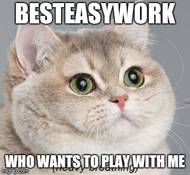 Heavy Breathing Cat Meme | BESTEASYWORK; WHO WANTS TO PLAY WITH ME | image tagged in memes,heavy breathing cat | made w/ Imgflip meme maker