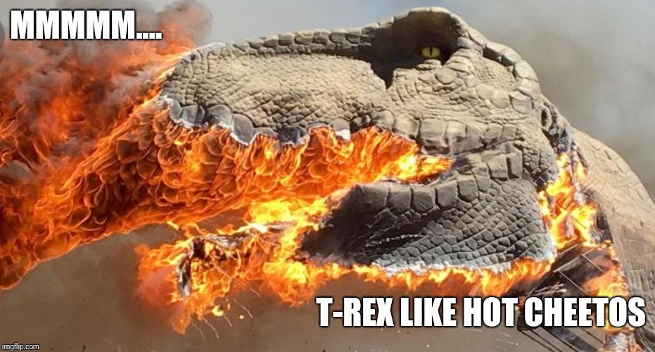 Firesaurus-Rex | MMMMM.... T-REX LIKE HOT CHEETOS | image tagged in hot cheetos,fire,t-rex,burn,fail,epic fail | made w/ Imgflip meme maker