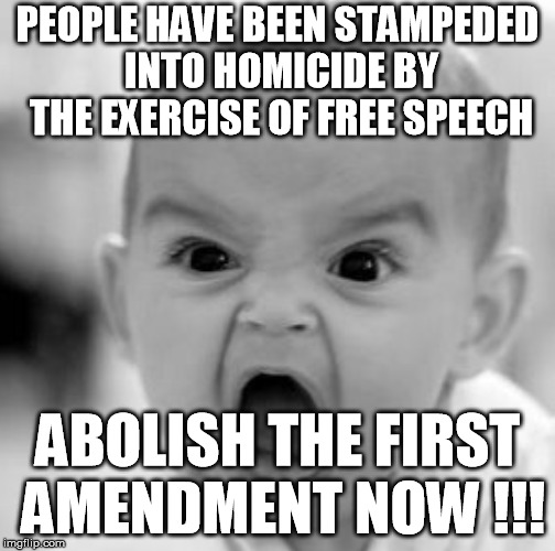 PEOPLE HAVE BEEN STAMPEDED INTO HOMICIDE BY THE EXERCISE OF FREE SPEECH ABOLISH THE FIRST AMENDMENT NOW !!! | made w/ Imgflip meme maker