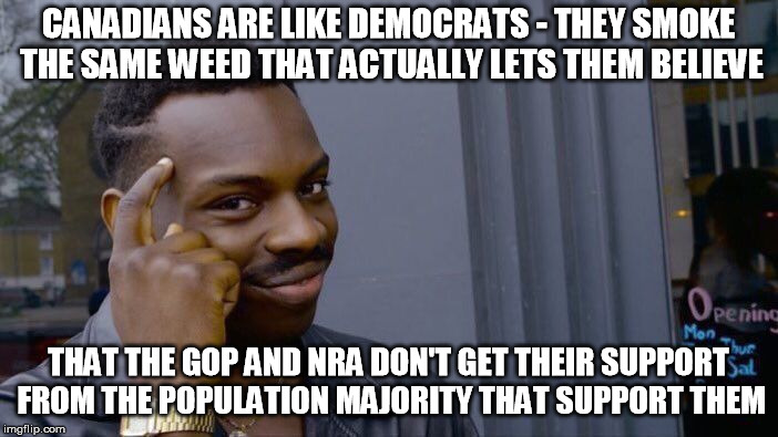 Roll Safe Think About It Meme | CANADIANS ARE LIKE DEMOCRATS - THEY SMOKE THE SAME WEED THAT ACTUALLY LETS THEM BELIEVE THAT THE GOP AND NRA DON'T GET THEIR SUPPORT FROM TH | image tagged in memes,roll safe think about it | made w/ Imgflip meme maker