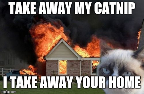 Burn Kitty | TAKE AWAY MY CATNIP; I TAKE AWAY YOUR HOME | image tagged in memes,burn kitty,grumpy cat,kitty,burn,fire | made w/ Imgflip meme maker