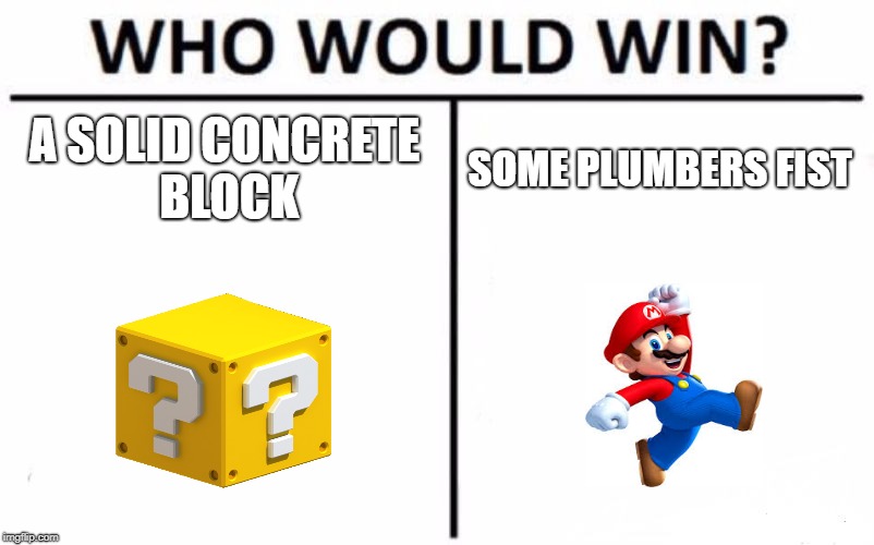 Who Would Win? Meme | A SOLID CONCRETE BLOCK; SOME PLUMBERS FIST | image tagged in memes,who would win | made w/ Imgflip meme maker