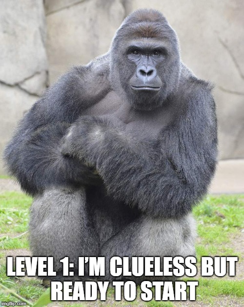 Harambe | LEVEL 1: I’M CLUELESS
BUT READY TO START | image tagged in harambe | made w/ Imgflip meme maker
