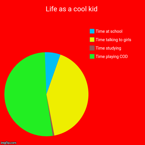 Life as a cool kid | Time playing COD, Time studying , Time talking to girls, Time at school | image tagged in funny,pie charts | made w/ Imgflip chart maker
