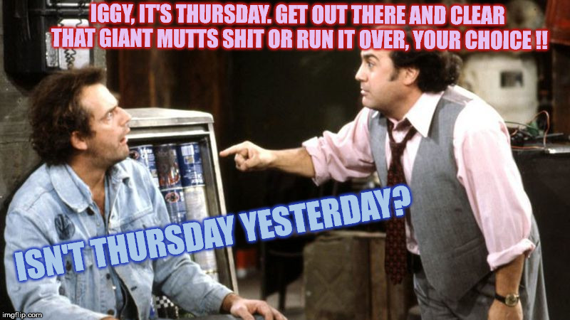 louieith n iggith | IGGY, IT'S THURSDAY. GET OUT THERE AND CLEAR THAT GIANT MUTTS SHIT OR RUN IT OVER, YOUR CHOICE !! ISN'T THURSDAY YESTERDAY? | image tagged in louieith n iggith | made w/ Imgflip meme maker