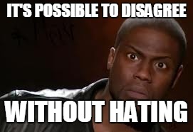 Kevin Hart | IT'S POSSIBLE TO DISAGREE; WITHOUT HATING | image tagged in memes,kevin hart the hell | made w/ Imgflip meme maker