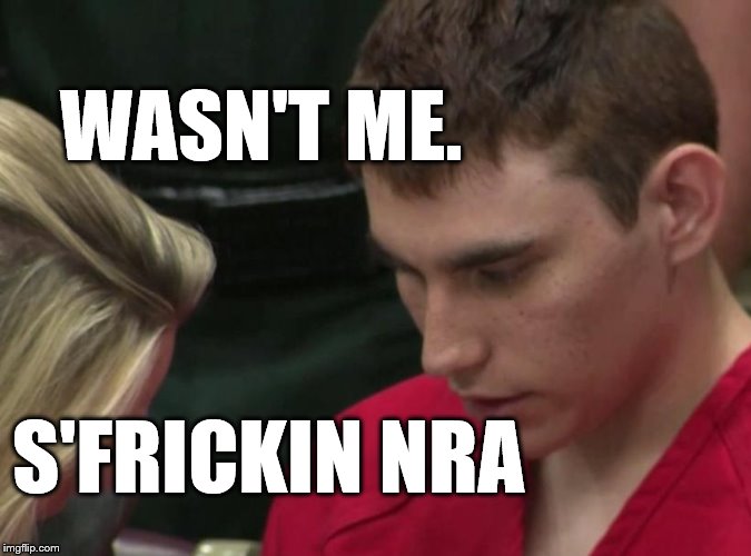 WASN'T ME. S'FRICKIN NRA | image tagged in gun control | made w/ Imgflip meme maker