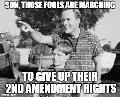 Look Son |  SON, THOSE FOOLS ARE MARCHING; TO GIVE UP THEIR 2ND AMENDMENT RIGHTS | image tagged in memes,look son | made w/ Imgflip meme maker