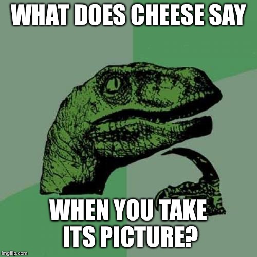 Philosoraptor Meme | WHAT DOES CHEESE SAY; WHEN YOU TAKE ITS PICTURE? | image tagged in memes,philosoraptor | made w/ Imgflip meme maker