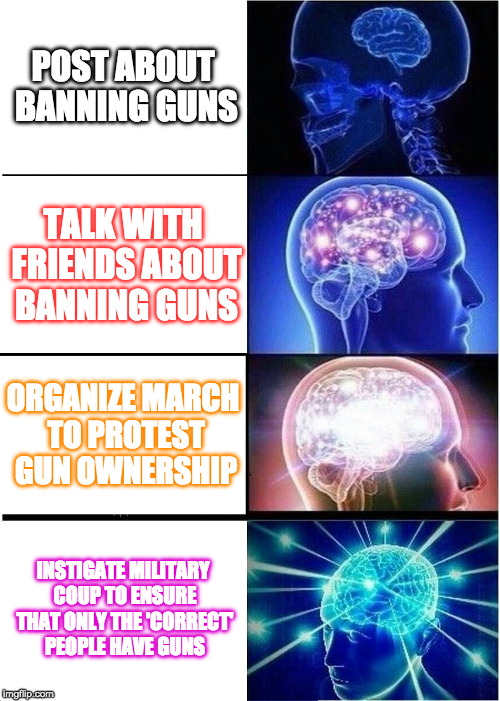 Expanding Brain Meme | POST ABOUT BANNING GUNS; TALK WITH FRIENDS ABOUT BANNING GUNS; ORGANIZE MARCH TO PROTEST GUN OWNERSHIP; INSTIGATE MILITARY COUP TO ENSURE THAT ONLY THE 'CORRECT' PEOPLE HAVE GUNS | image tagged in memes,expanding brain | made w/ Imgflip meme maker