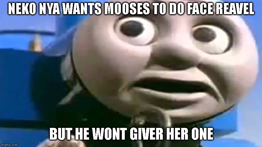 Thomas Wat | NEKO NYA WANTS MOOSES TO DO FACE REAVEL; BUT HE WONT GIVER HER ONE | image tagged in thomas wat | made w/ Imgflip meme maker