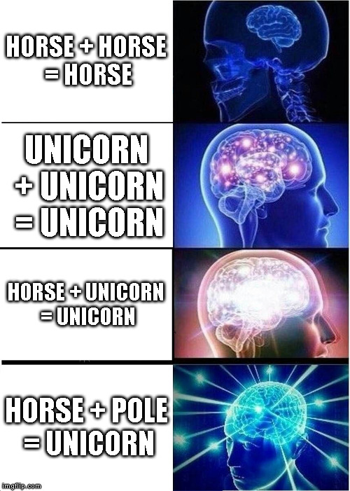 Expanding Brain Meme | HORSE + HORSE = HORSE; UNICORN + UNICORN = UNICORN; HORSE + UNICORN = UNICORN; HORSE + POLE = UNICORN | image tagged in memes,expanding brain | made w/ Imgflip meme maker
