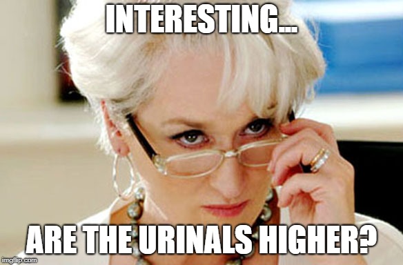 No no that wasn't a question  | INTERESTING... ARE THE URINALS HIGHER? | image tagged in no no that wasn't a question | made w/ Imgflip meme maker